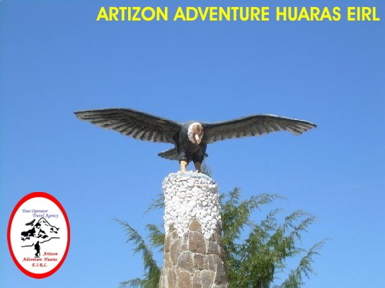 Condor - Arequipa